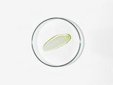 BABE Aloe Vera Gel
